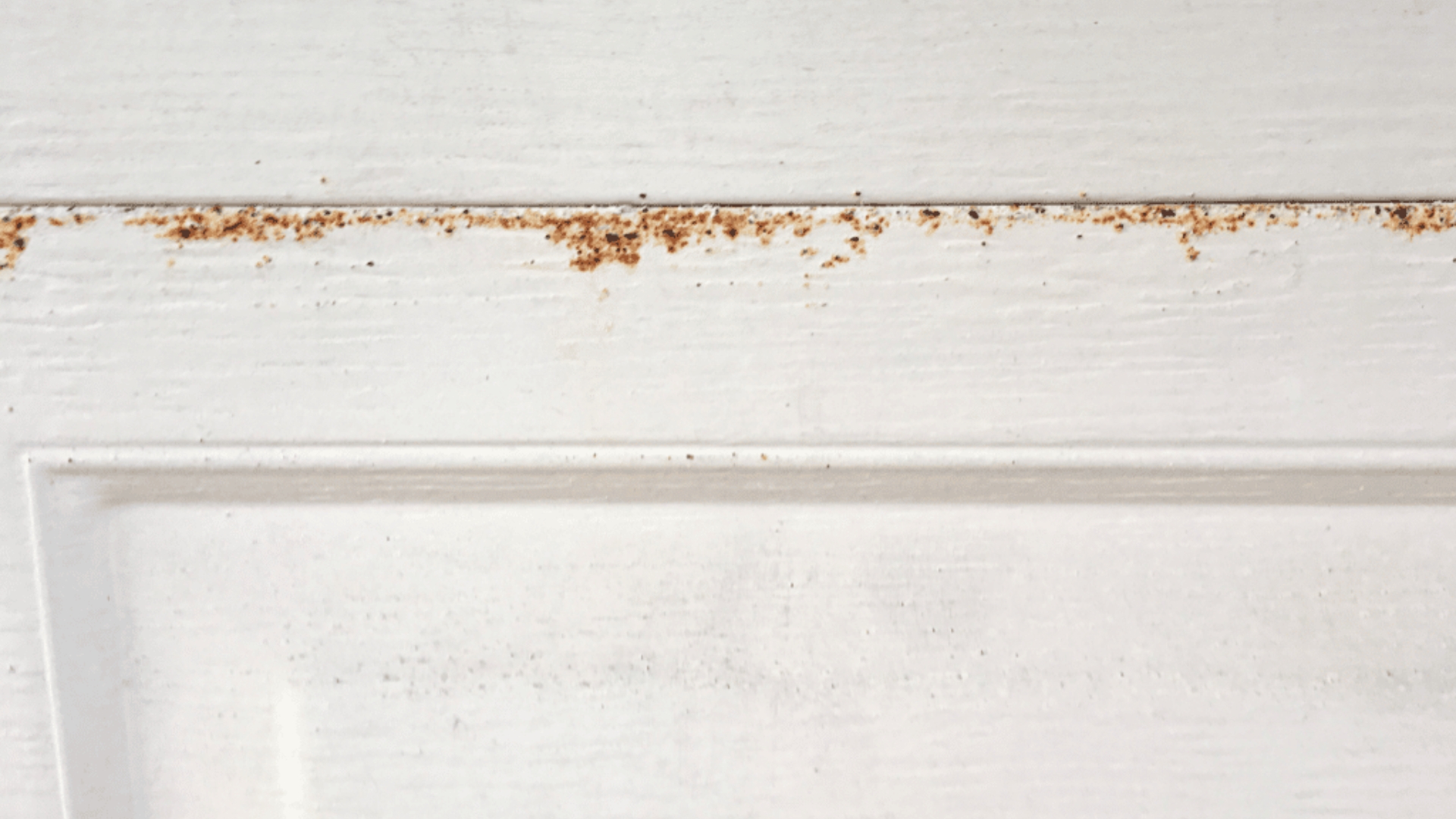 Rust forming along the edges of a white painted garage door.